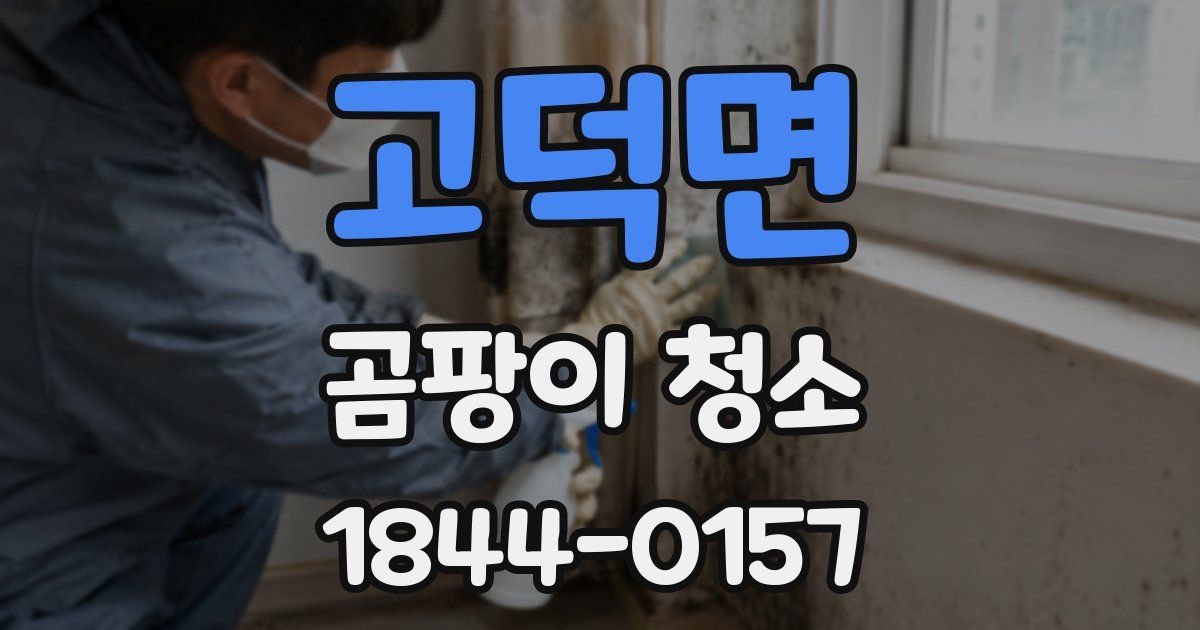 고덕면 곰팡이 청소