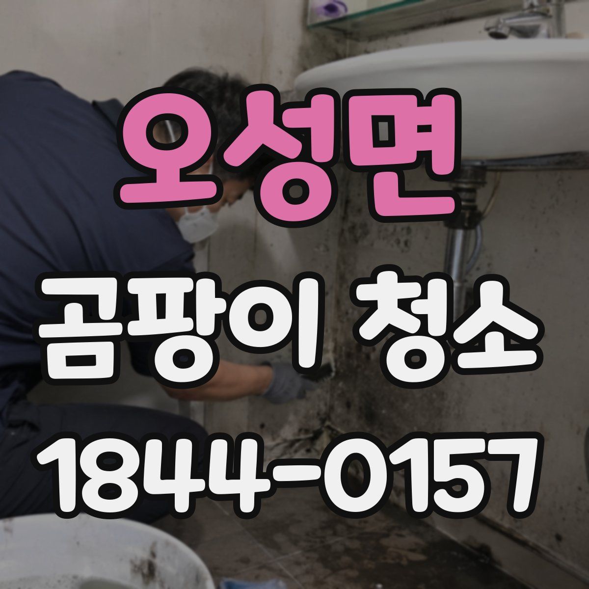 오성면 곰팡이 청소