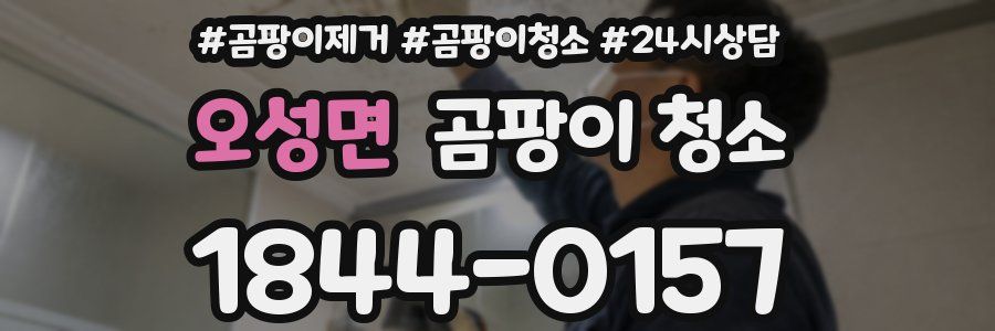오성면 곰팡이 청소