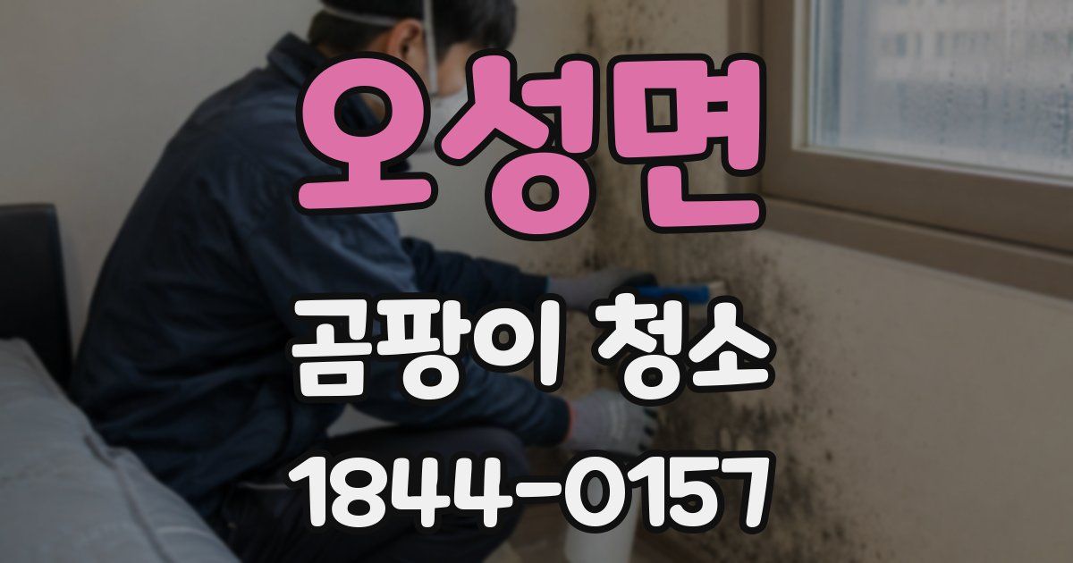 오성면 곰팡이 청소