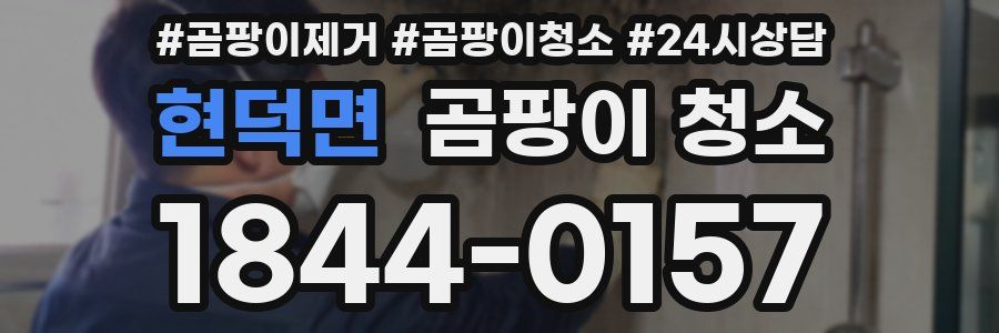 현덕면 곰팡이 청소