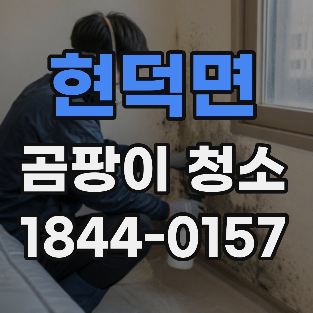 현덕면 곰팡이 청소