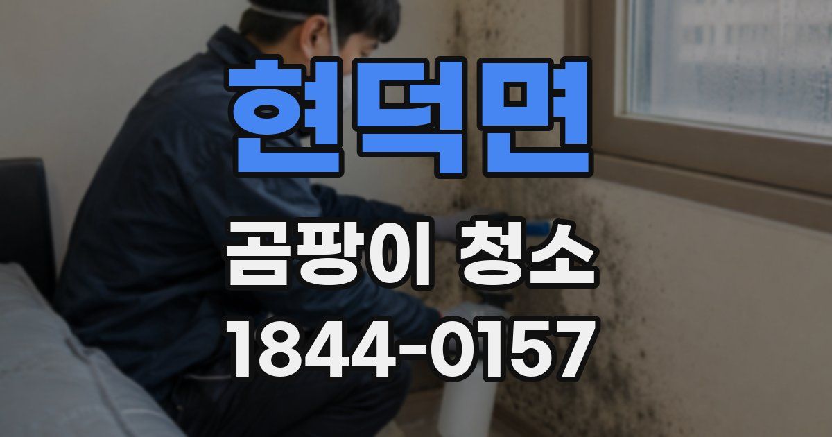 현덕면 곰팡이 청소