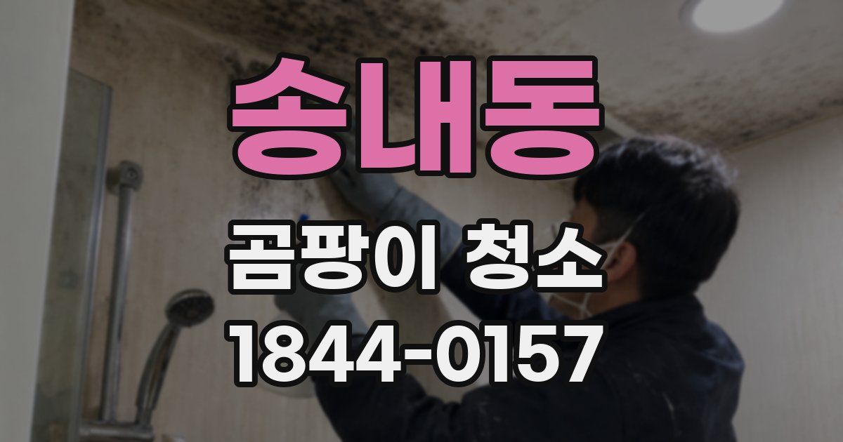 송내동 곰팡이 청소