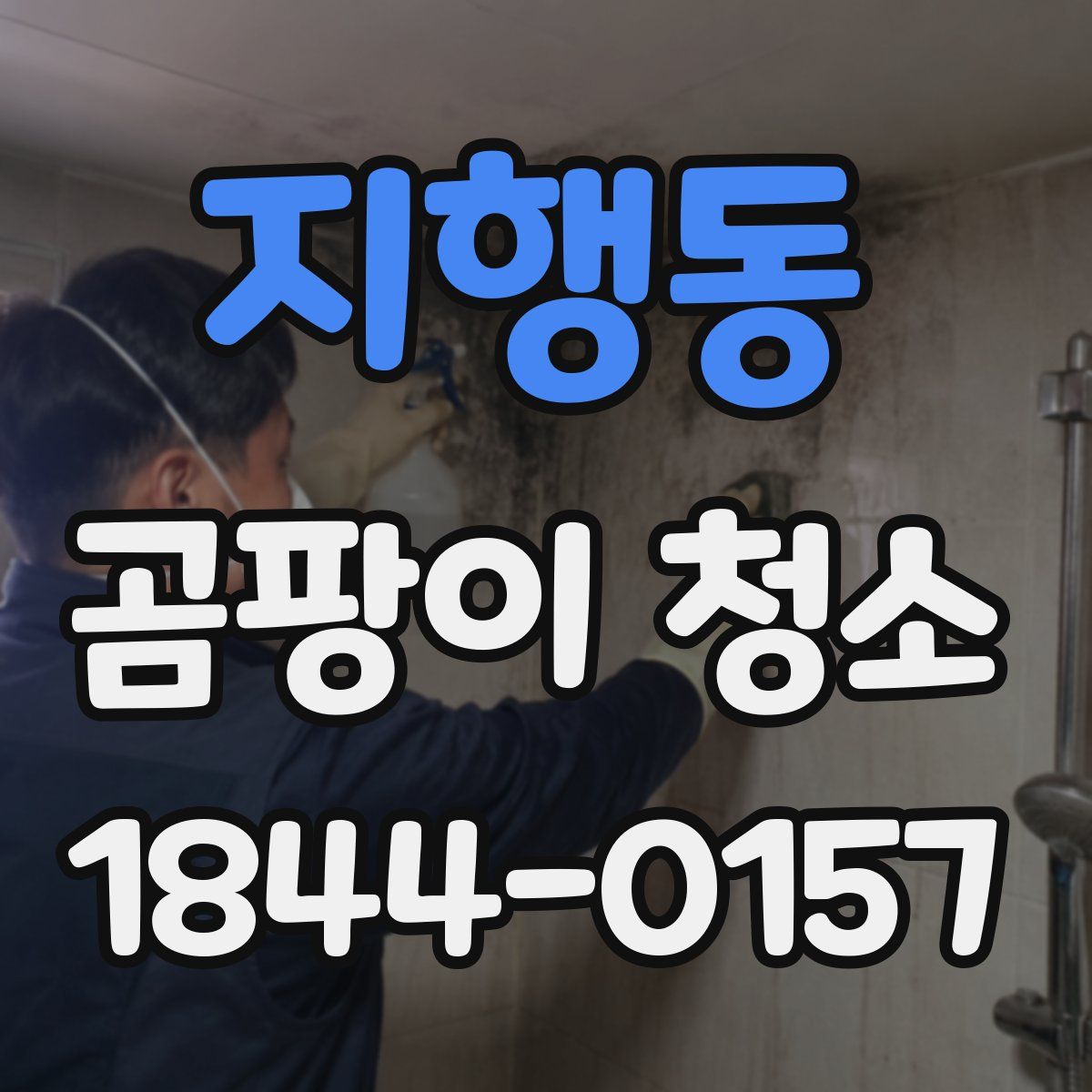 지행동 곰팡이 청소