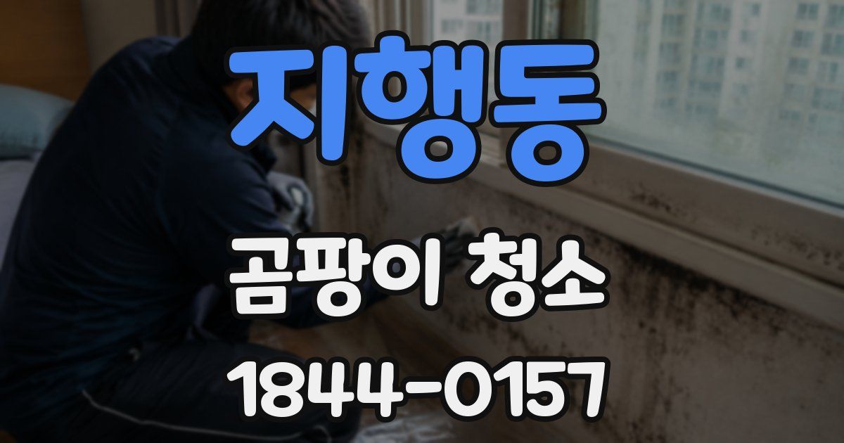 지행동 곰팡이 청소