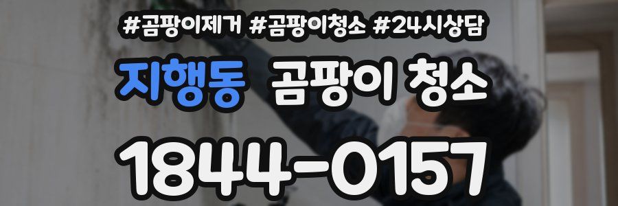 지행동 곰팡이 청소