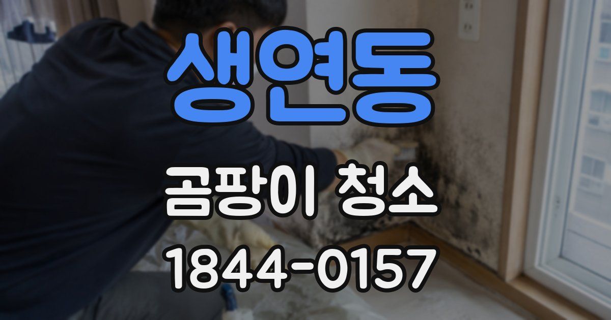 생연동 곰팡이 청소