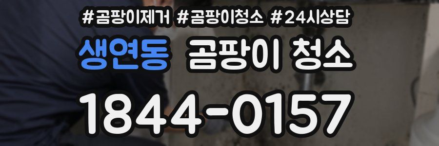 생연동 곰팡이 청소