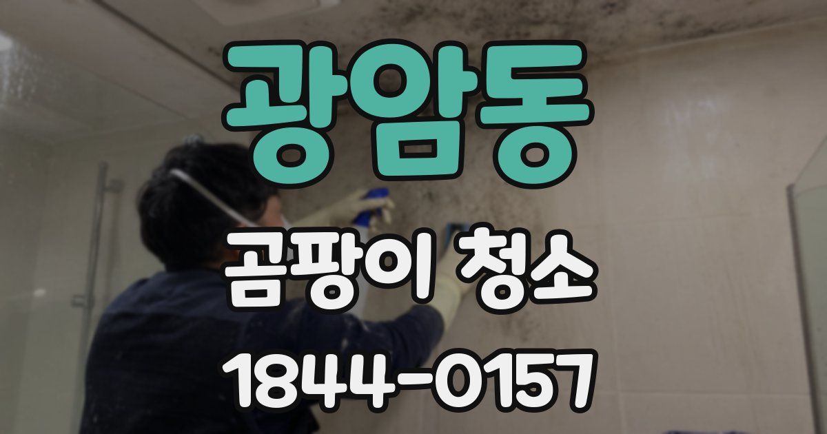 광암동 곰팡이 청소