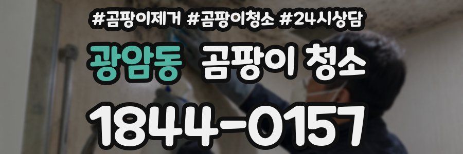 광암동 곰팡이 청소