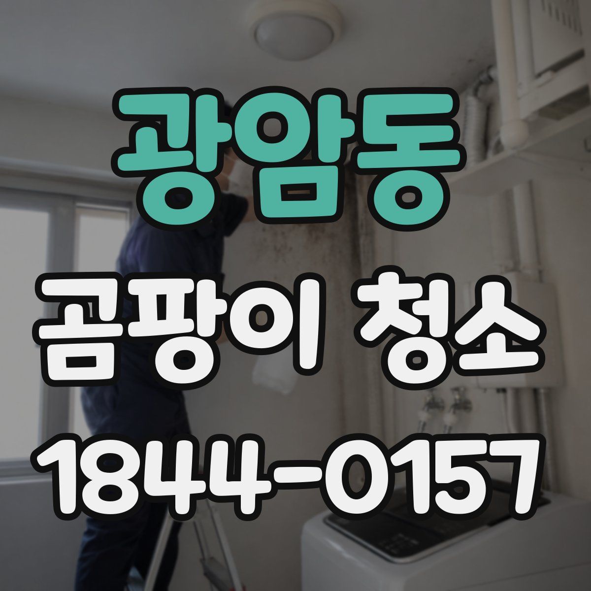광암동 곰팡이 청소