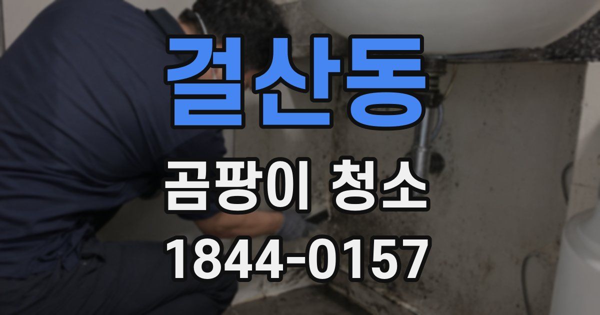 걸산동 곰팡이 청소