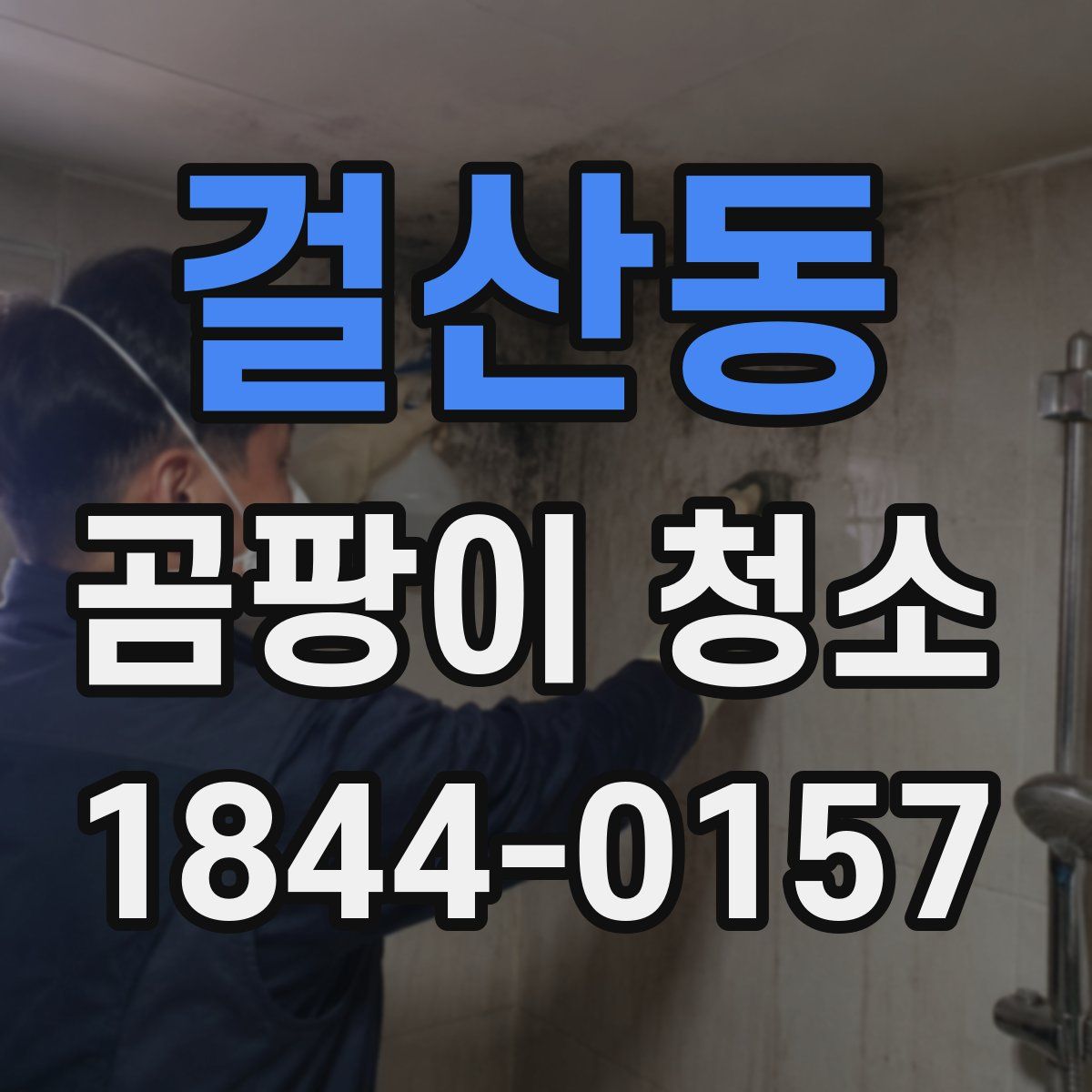 걸산동 곰팡이 청소
