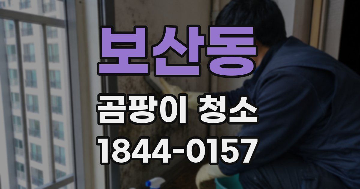 보산동 곰팡이 청소