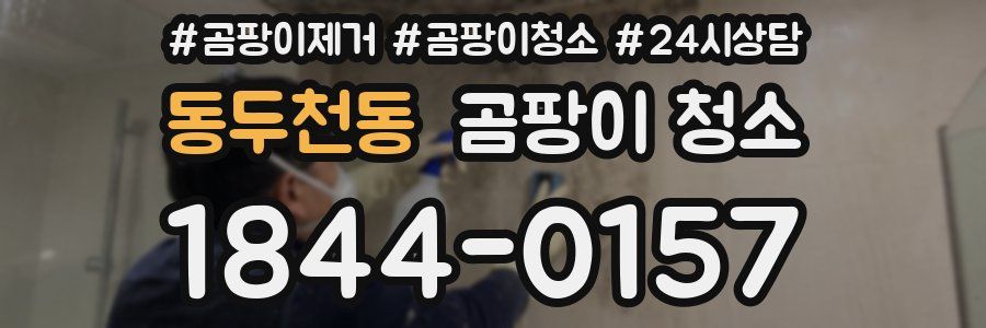 동두천동 곰팡이 청소