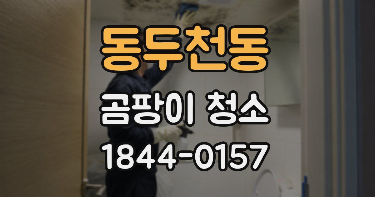 동두천동 곰팡이 청소
