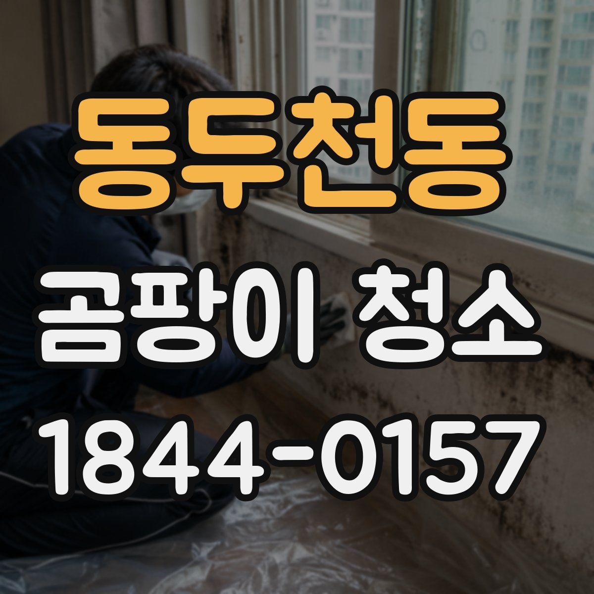 동두천동 곰팡이 청소