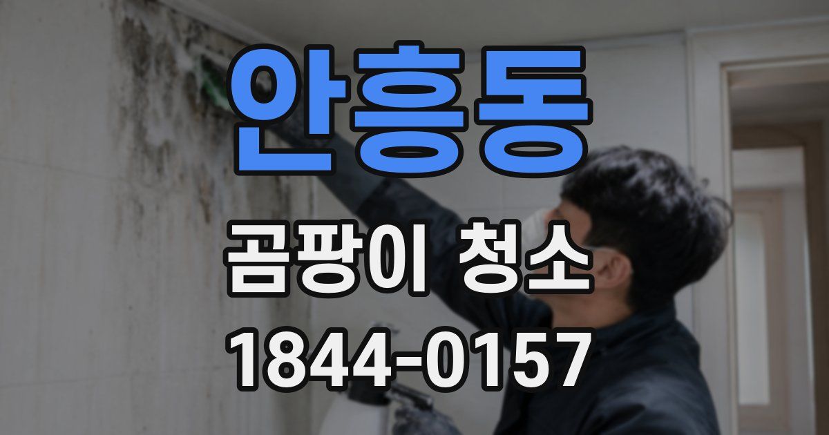 안흥동 곰팡이 청소