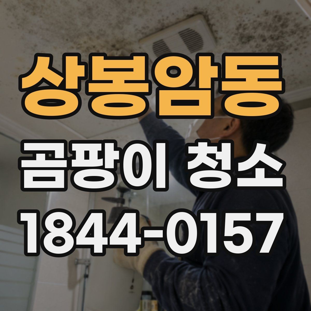 상봉암동 곰팡이 청소 욕실 천장 얼룩을 안전하게 처리하는 방법