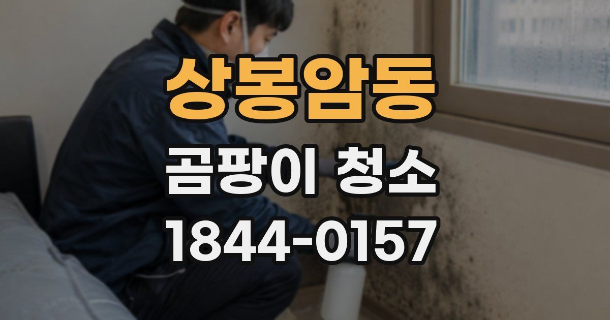 상봉암동 곰팡이 청소