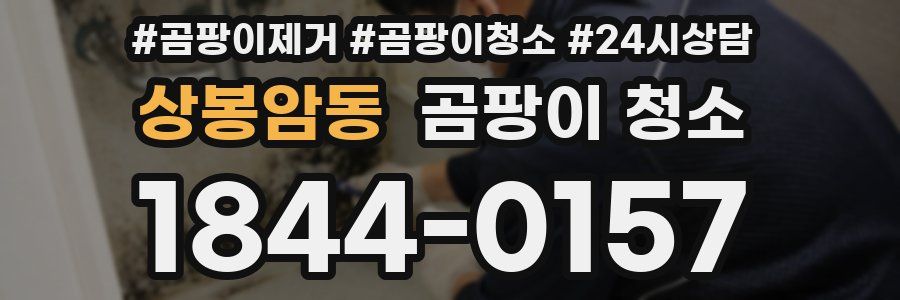 상봉암동 곰팡이 청소
