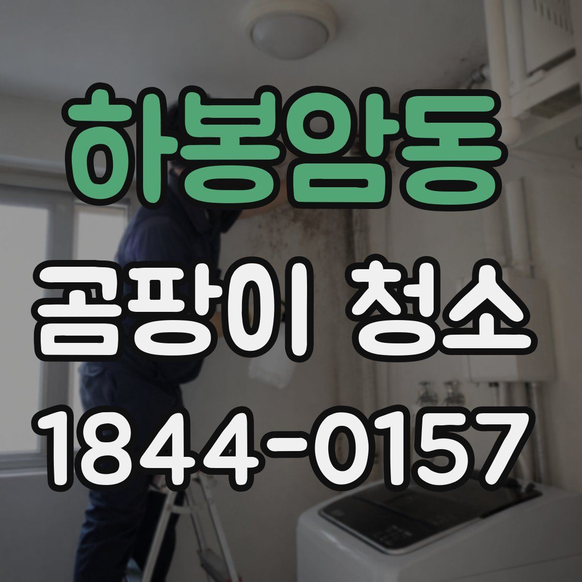 하봉암동 곰팡이 청소