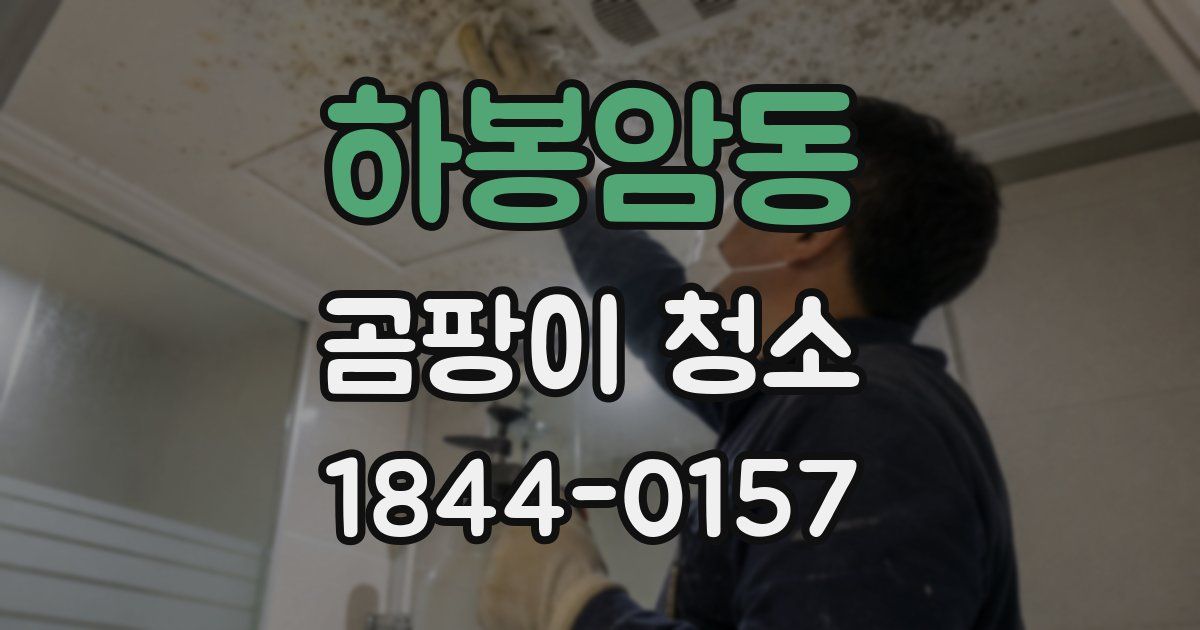 하봉암동 곰팡이 청소
