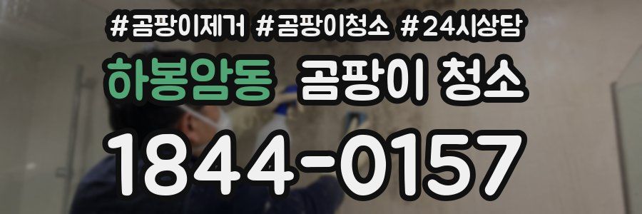 하봉암동 곰팡이 청소