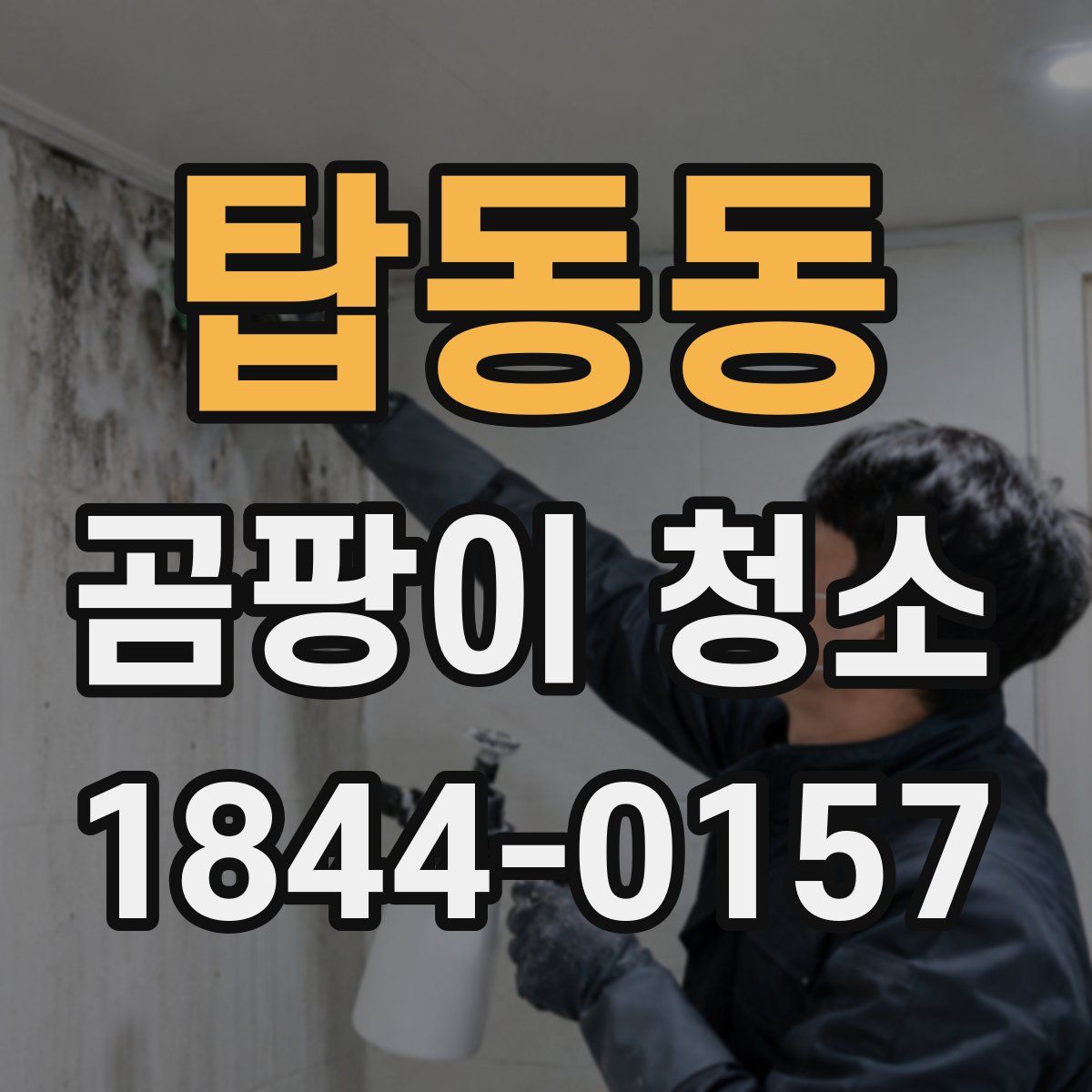 탑동동 곰팡이 청소