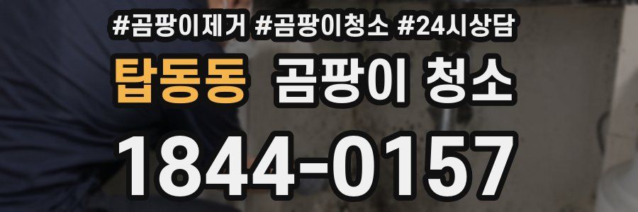 탑동동 곰팡이 청소