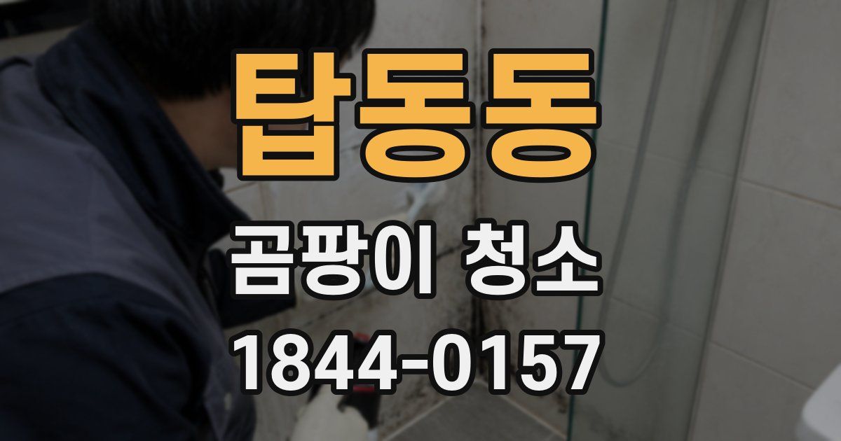 탑동동 곰팡이 청소