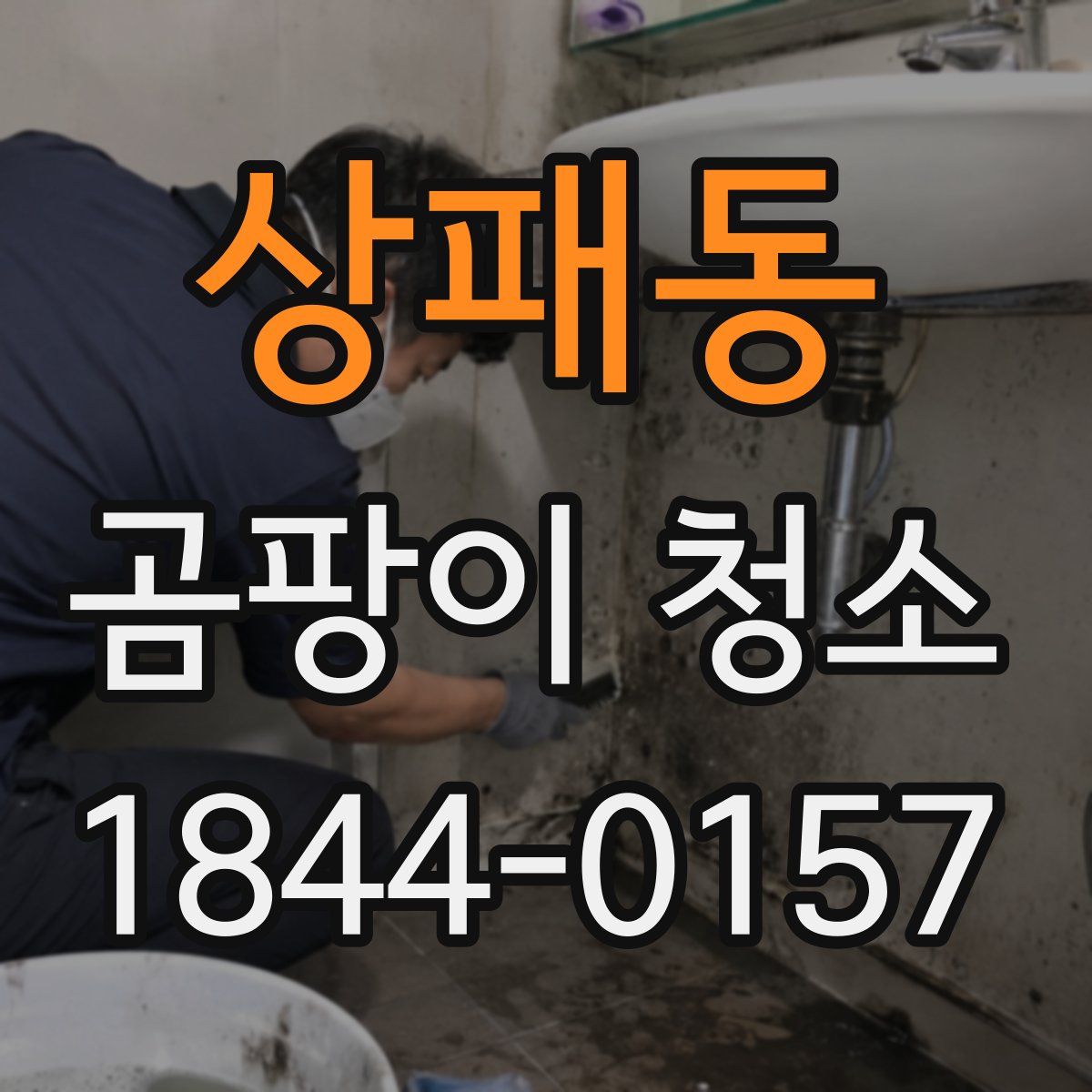 상패동 곰팡이 청소