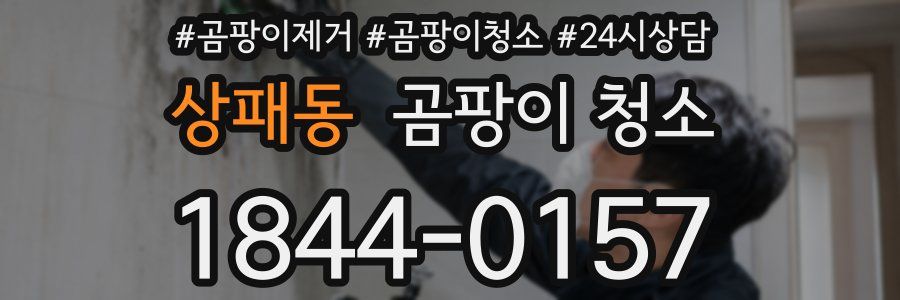 상패동 곰팡이 청소