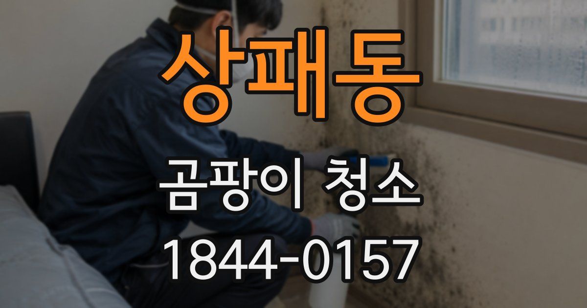 상패동 곰팡이 청소