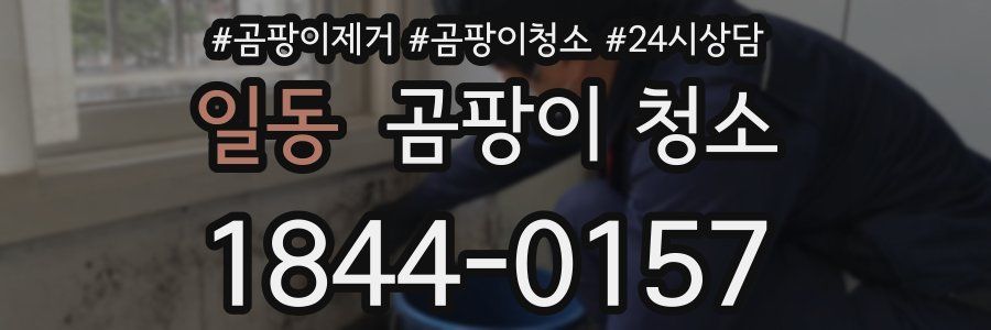 일동 곰팡이 청소