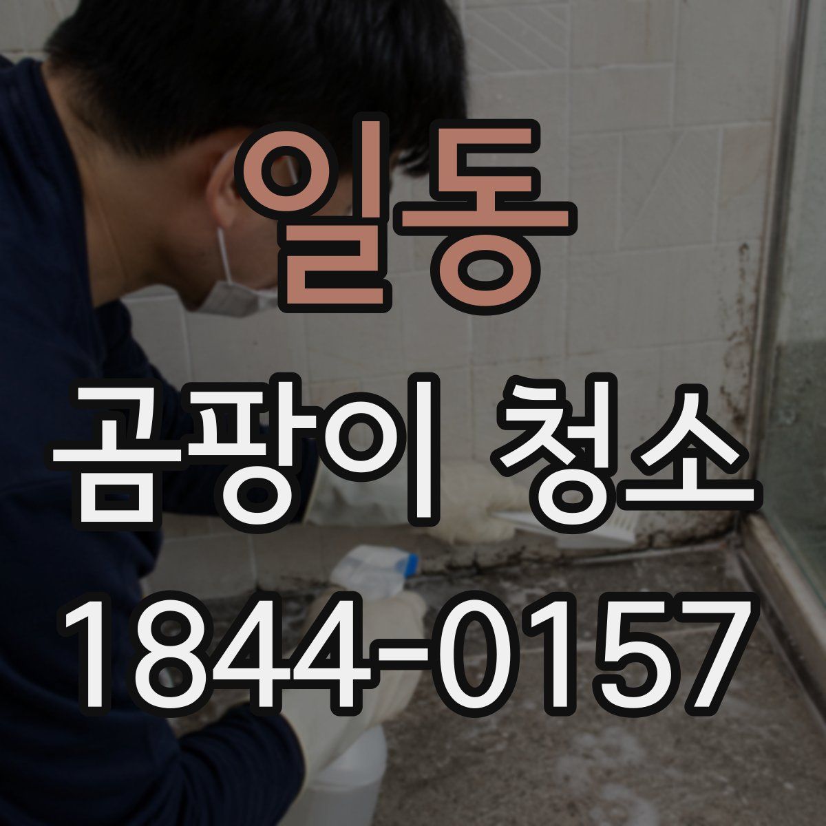 일동 곰팡이 청소
