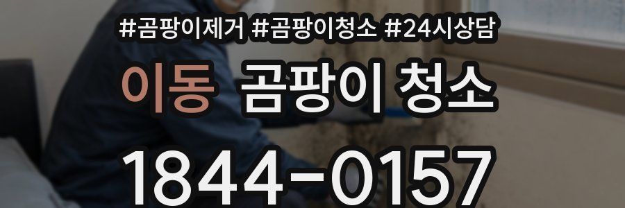 이동 곰팡이 청소
