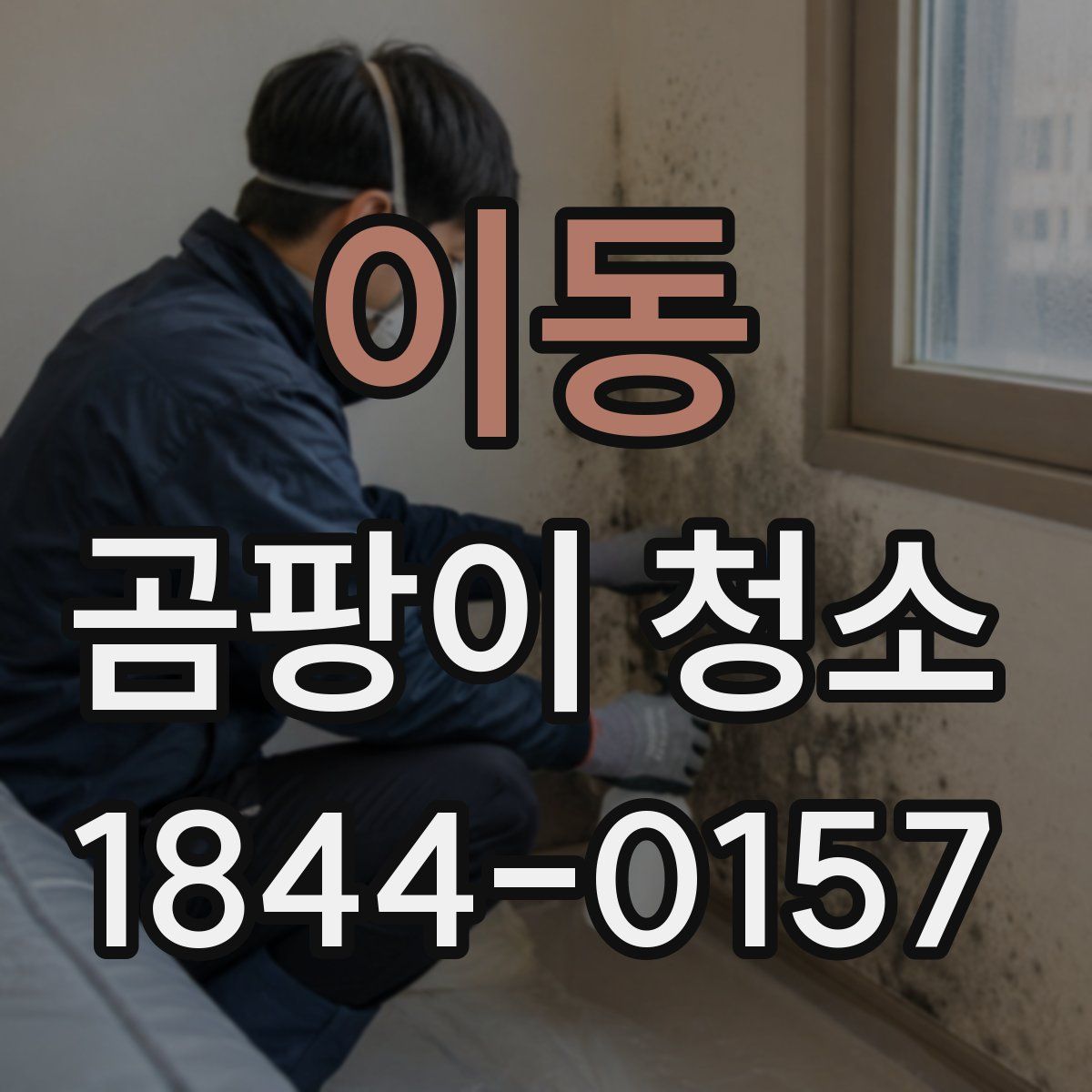 이동 곰팡이 청소