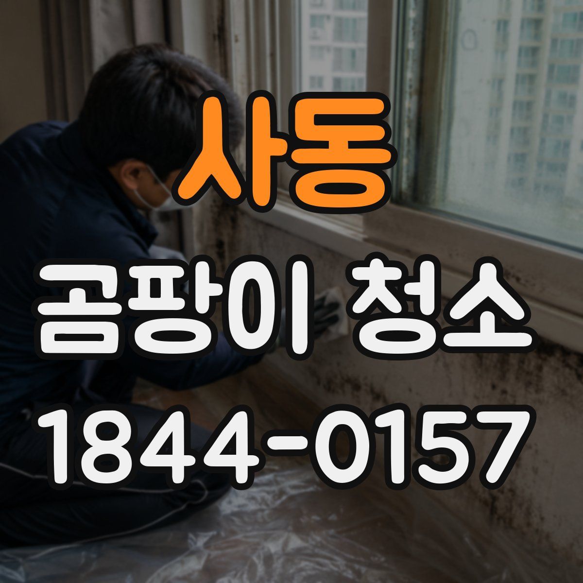 사동 곰팡이 청소