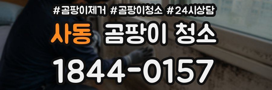 사동 곰팡이 청소