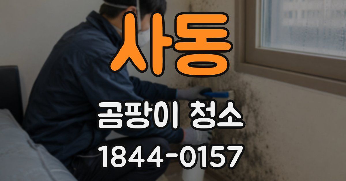 사동 곰팡이 청소
