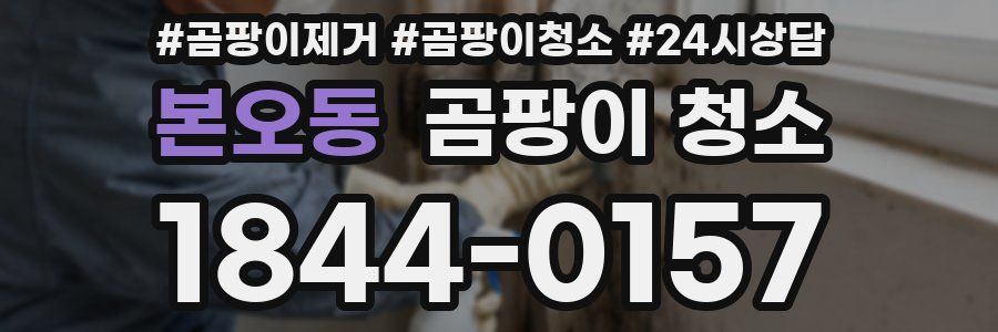 본오동 곰팡이 청소