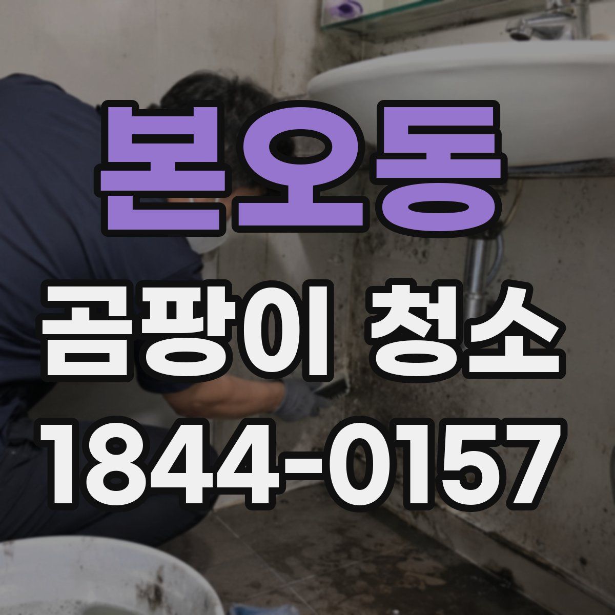 본오동 곰팡이 청소