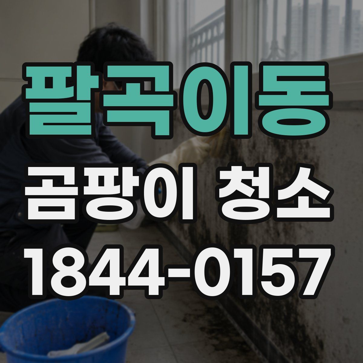 팔곡이동 곰팡이 청소