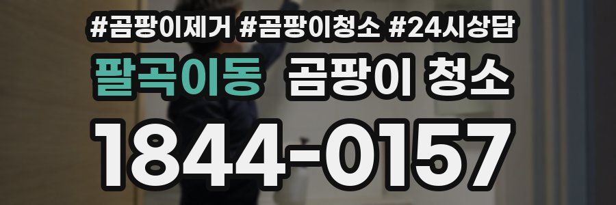 팔곡이동 곰팡이 청소