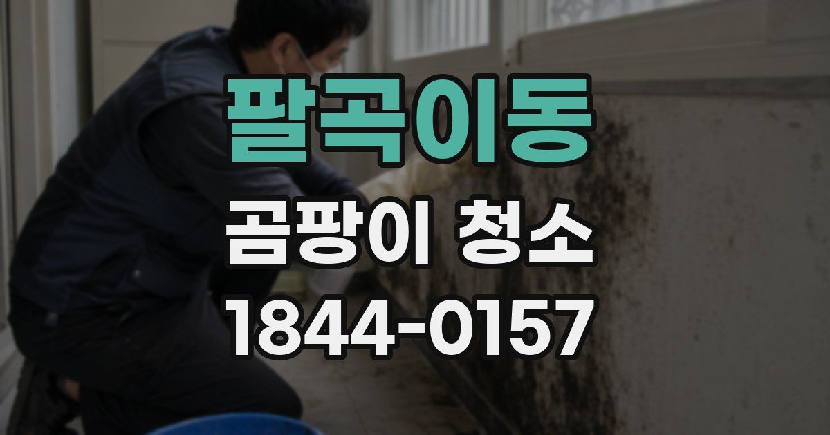 팔곡이동 곰팡이 청소