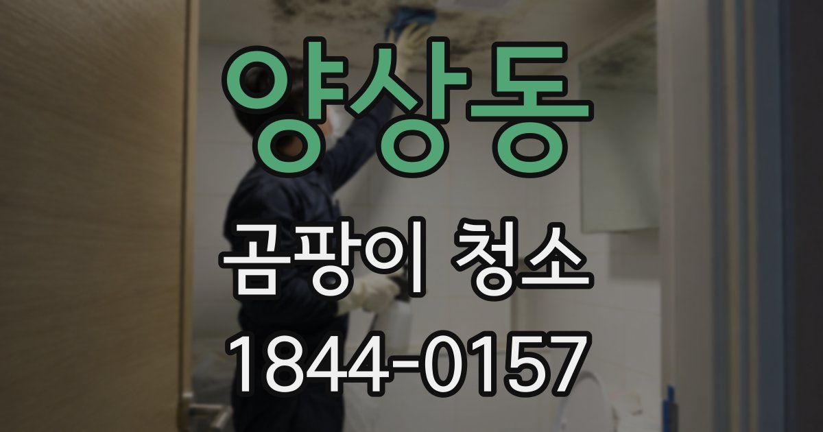 양상동 곰팡이 청소