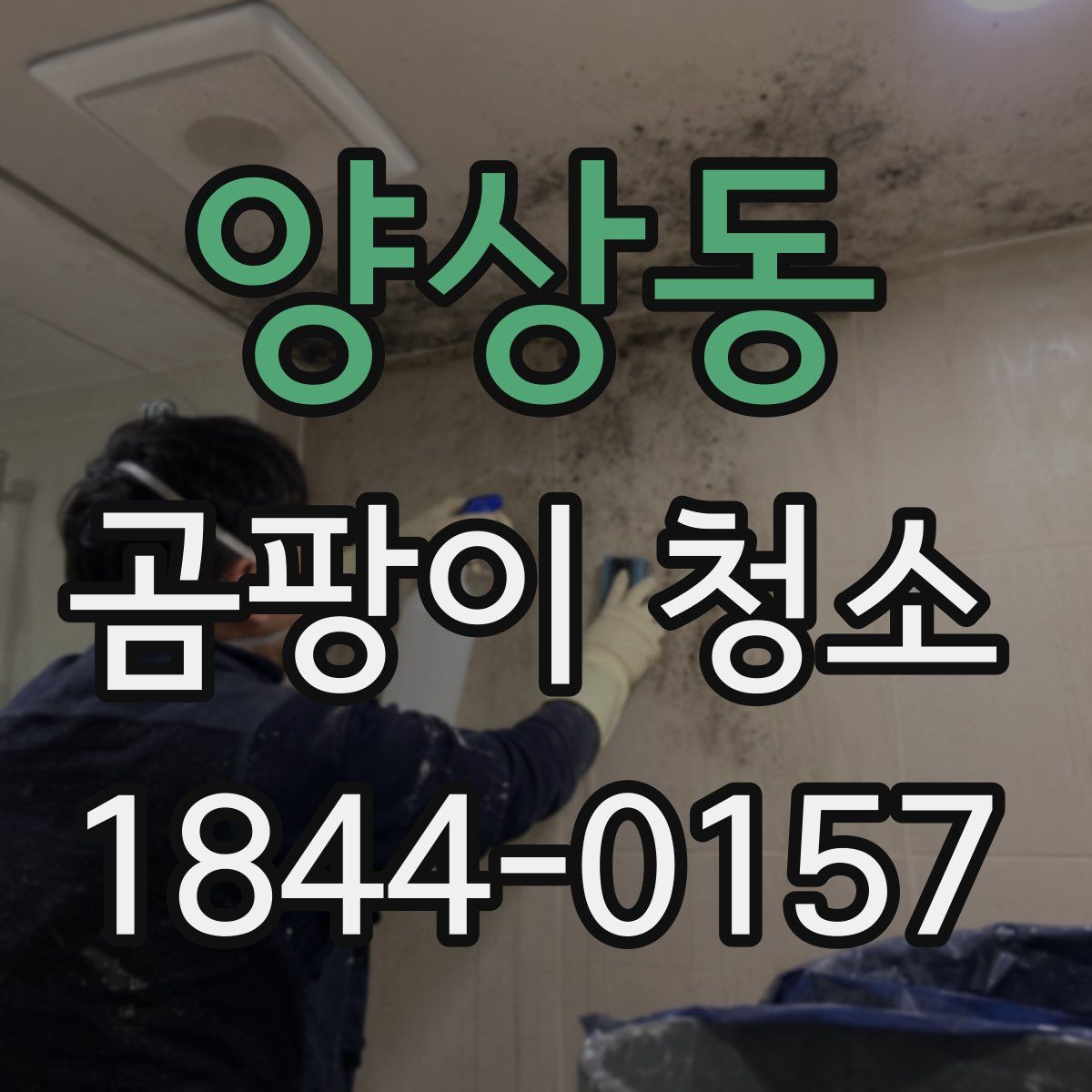 양상동 곰팡이 청소