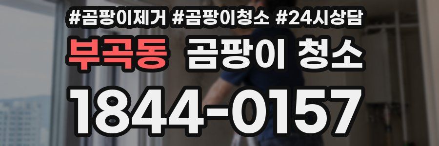 부곡동 곰팡이 청소